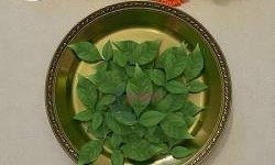 Bilwa Patra Offering